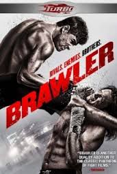 Brawler (2011) poster